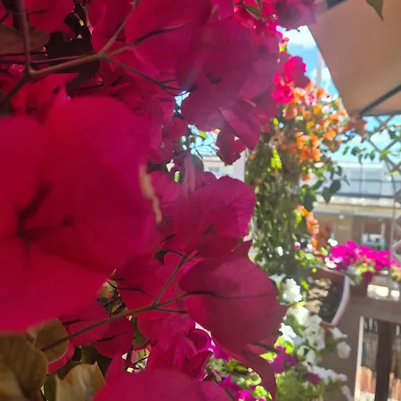 Apartment Carpegna 92 Rom